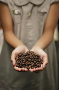 Coffee Beans