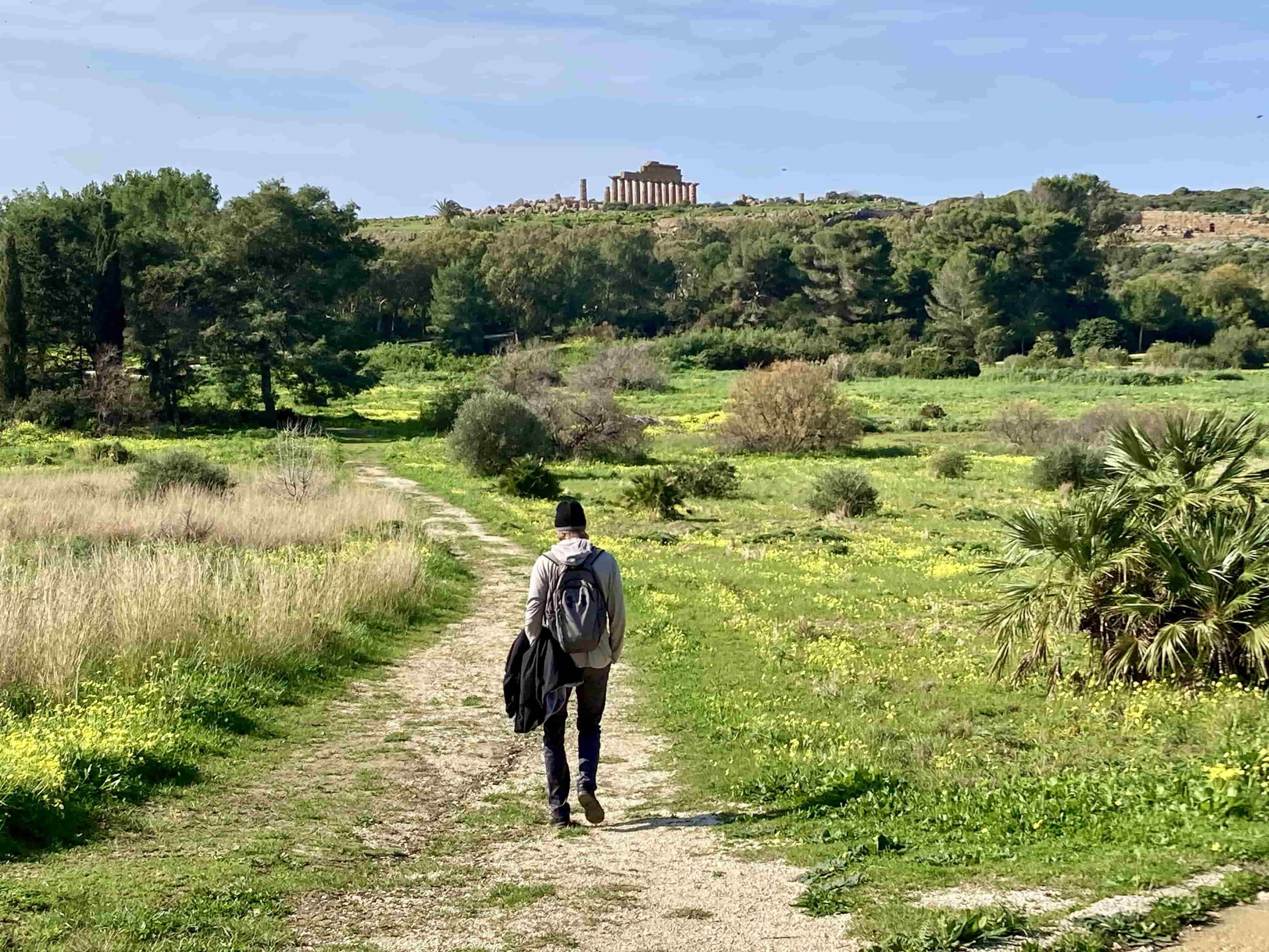 Selinunte Park Selinunte Park