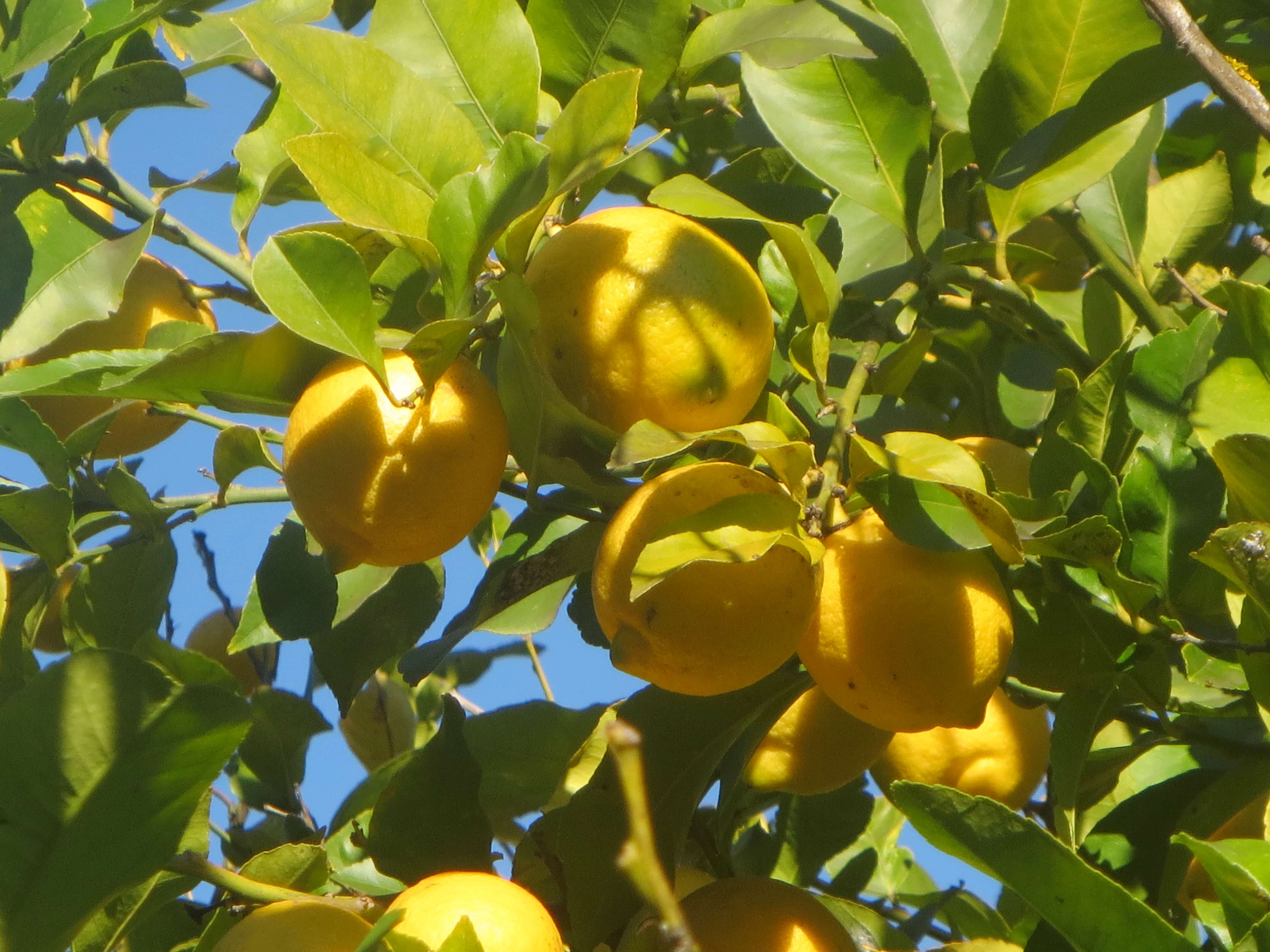 Garden of Paradise in Syracuse, Sicily.