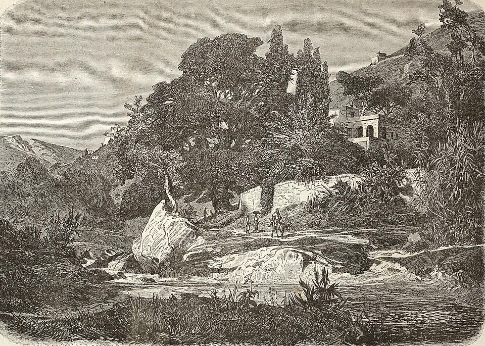 Conca d'Oro Conca d'Oro