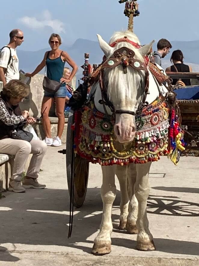 Traditionally Decorated Horse in Erice Sicily Traditionally Decorated Horse in Erice Sicily