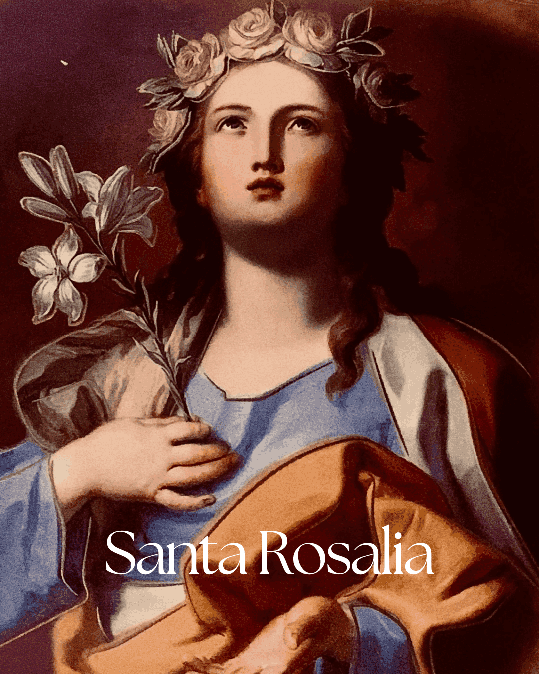 Link to a Page About Santa Rosalia