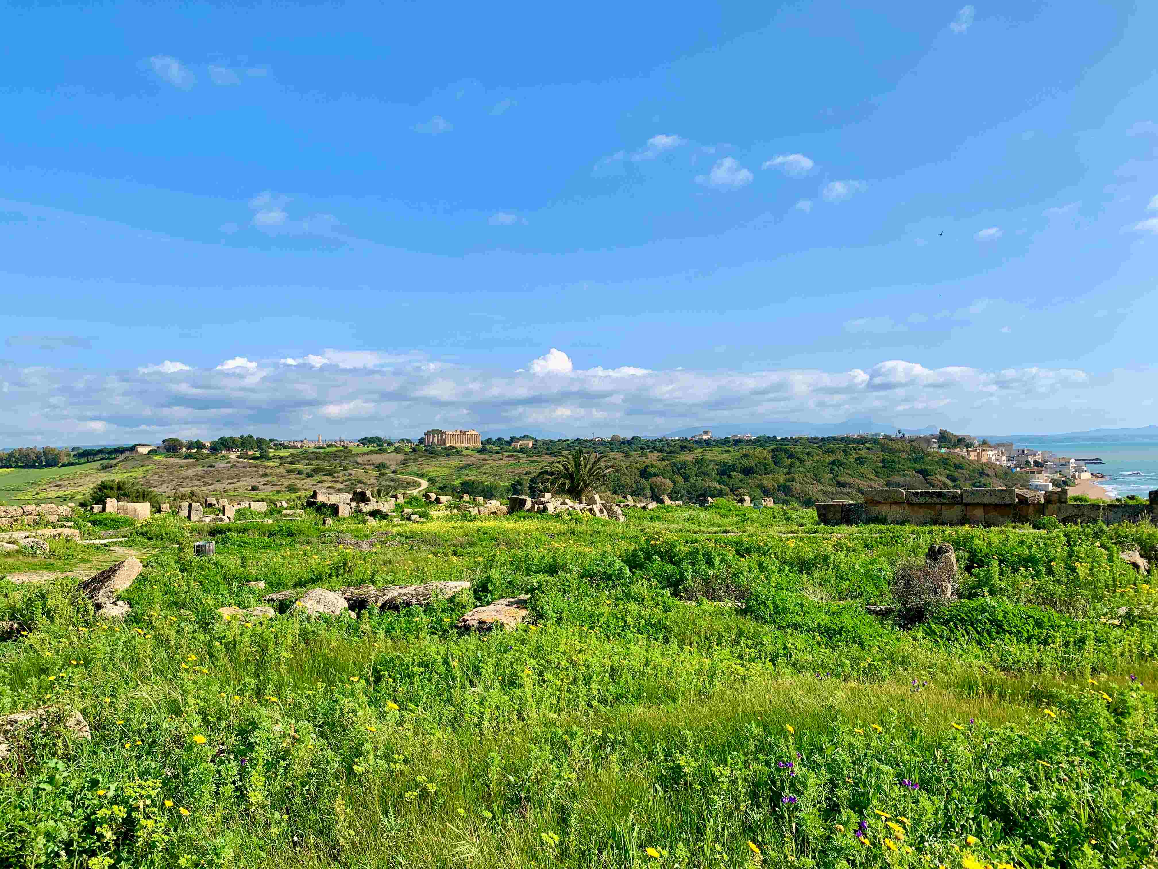 Eastern Hill of Selinunte Archeological Park