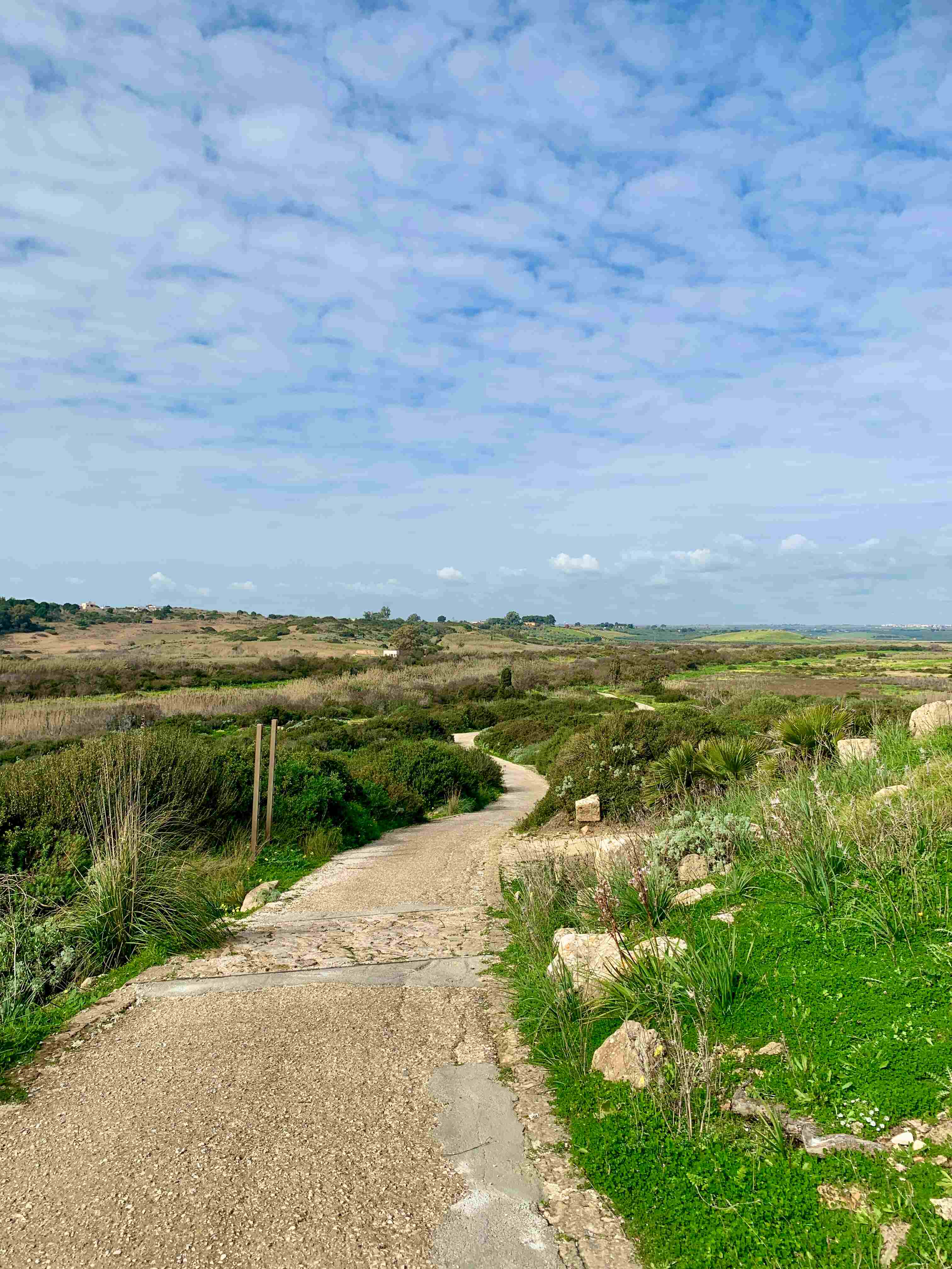 Selinunte Archeological Park Road