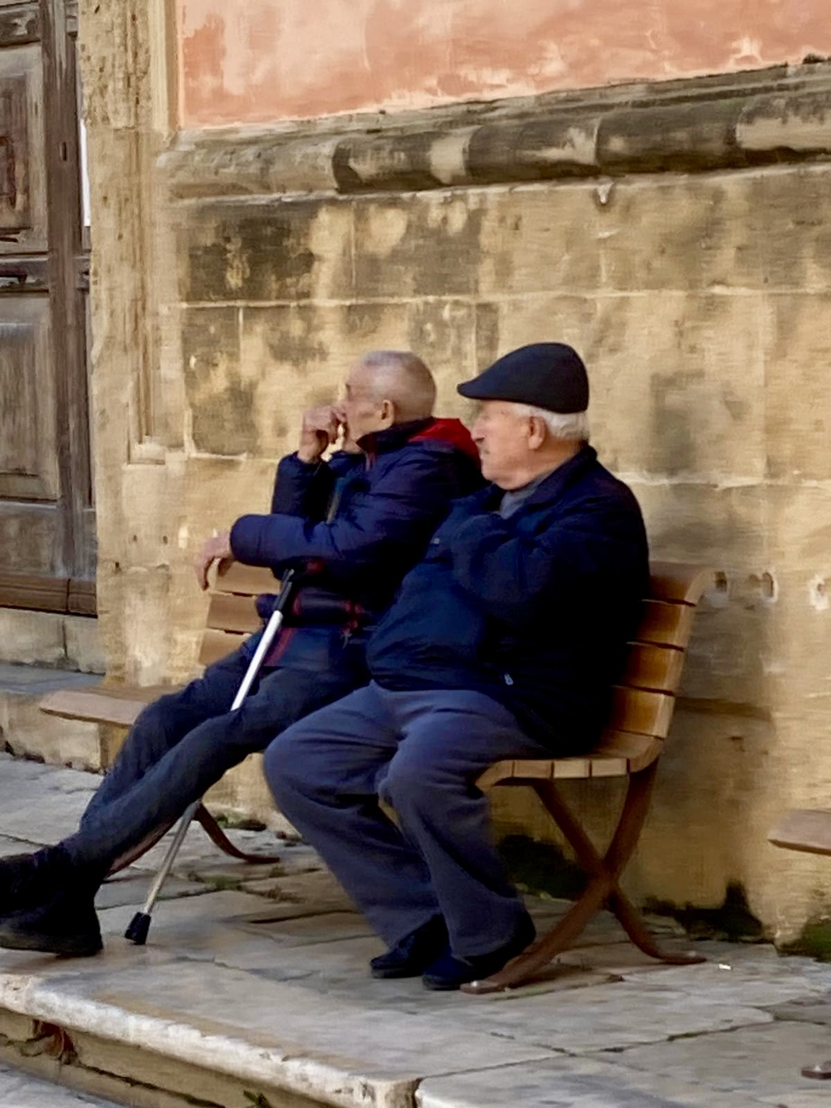 Two old friends sitting on a bench