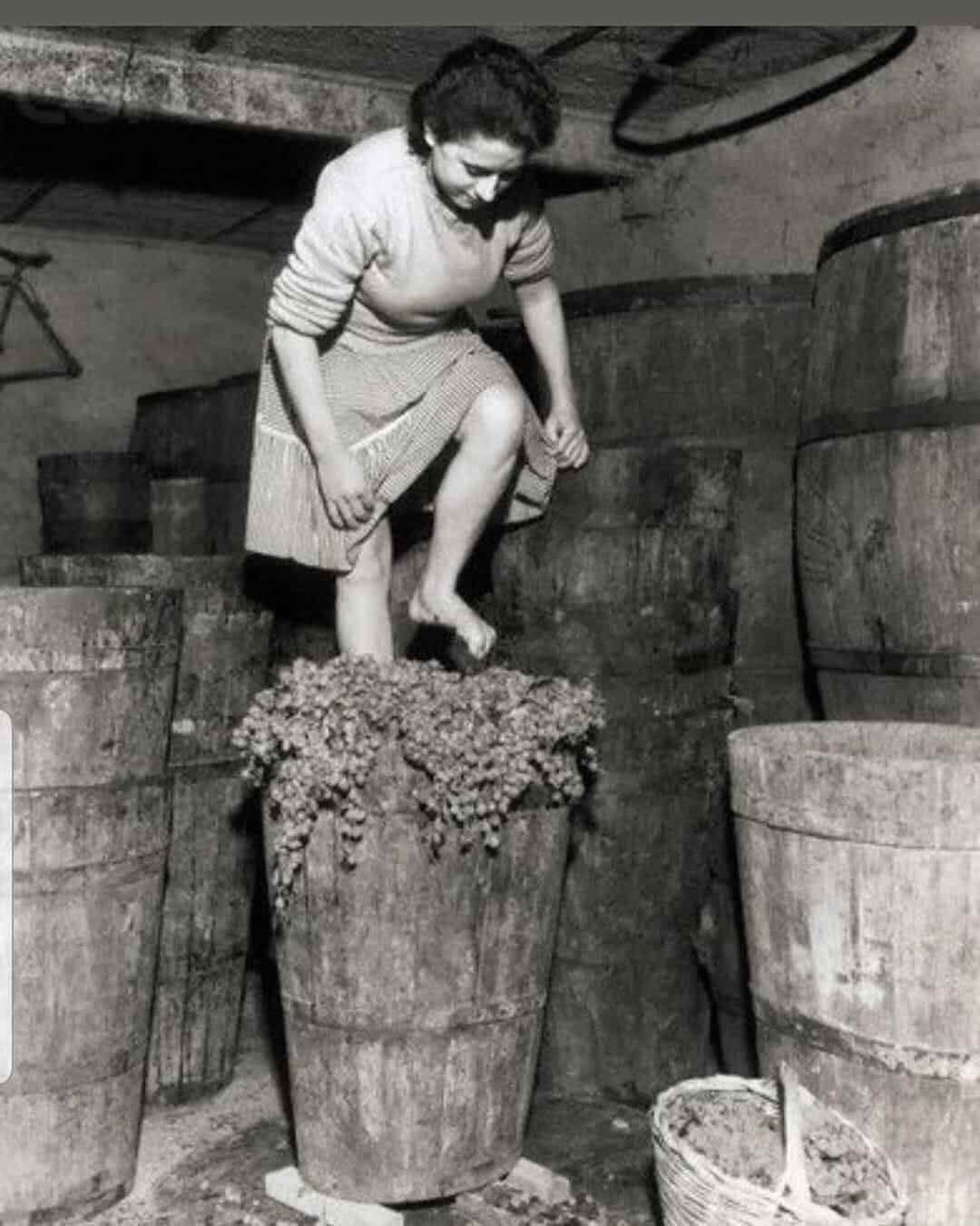 Wine Making in Sicily in the 1950s Wine Making in Sicily in the 1950s